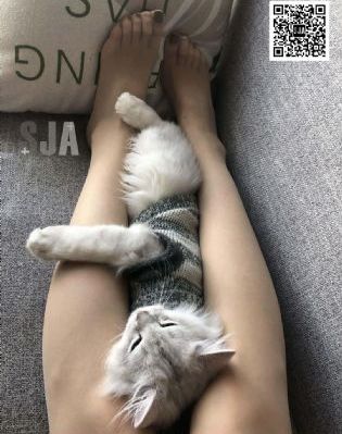 最近在线更新中文字幕3_国产剧视频大全